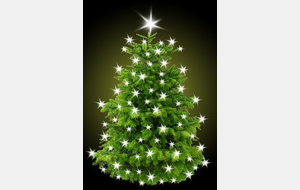 Joyeuses Fêtes de fin d'année