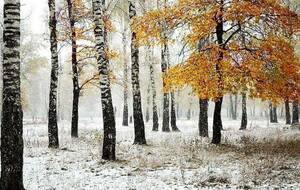 2023 - Bonne et Heureuse Nouvelle Année