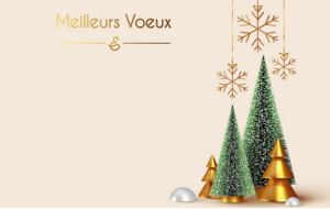 Tous nos Meilleurs Vœux pour l'année 2026