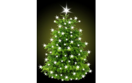 Joyeuses Fêtes de fin d'année