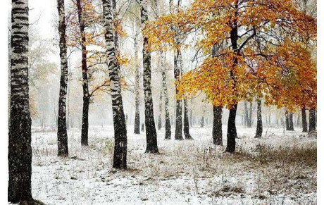 2023 - Bonne et Heureuse Nouvelle Année